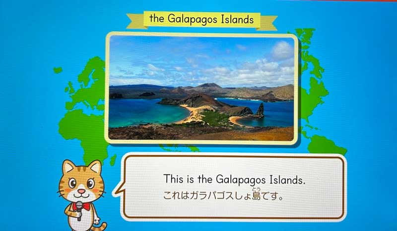 スマイルゼミ　夏期講習　英語