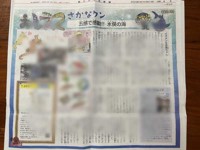 朝日小学生新聞 さかなくん