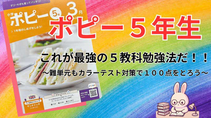 ポピー小学５年生　アイキャッチ