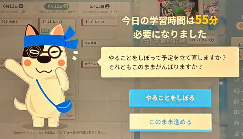 進研ゼミ中学２年講座　たままる